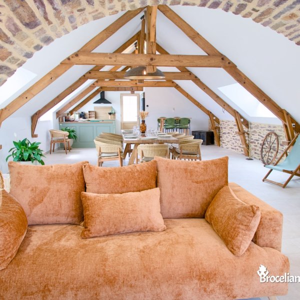 Salon / Séjour - Maison ès Thèse